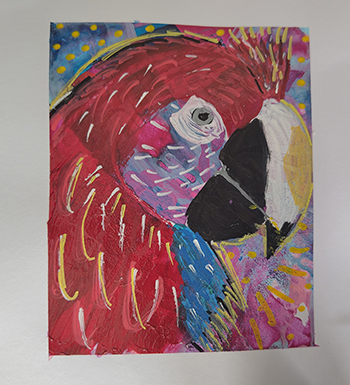Draw-Paint-Birds